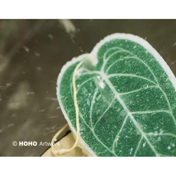 《4AM寅選》HOHO ARTWORK 火鶴菜瓜布 潮流植物 觀葉植物 植物周邊 質感 家居 洗碗 洗滌-細節圖2