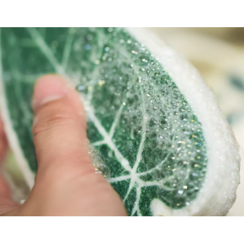 《4AM寅選》HOHO ARTWORK 火鶴菜瓜布 潮流植物 觀葉植物 植物周邊 質感 家居 洗碗 洗滌-細節圖3