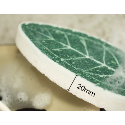 《4AM寅選》HOHO ARTWORK 火鶴菜瓜布 潮流植物 觀葉植物 植物周邊 質感 家居 洗碗 洗滌-細節圖4