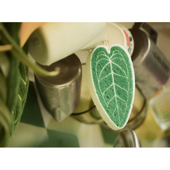 《4AM寅選》HOHO ARTWORK 火鶴菜瓜布 潮流植物 觀葉植物 植物周邊 質感 家居 洗碗 洗滌-細節圖5