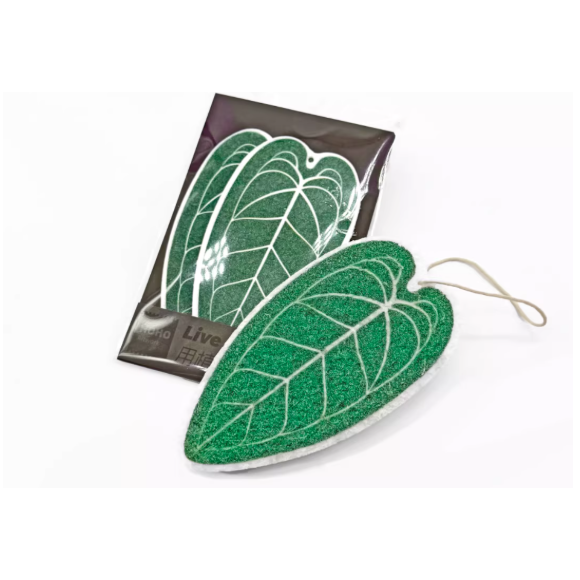 《4AM寅選》HOHO ARTWORK 火鶴菜瓜布 潮流植物 觀葉植物 植物周邊 質感 家居 洗碗 洗滌-細節圖6