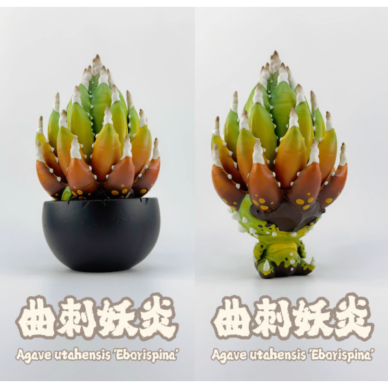 《4AM寅選》博物志 龍舌蘭手辦 潮流 擺件 潮玩 擺飾 藝術品 手工 裝飾品 塊根植物 潮流植物 agave-細節圖3