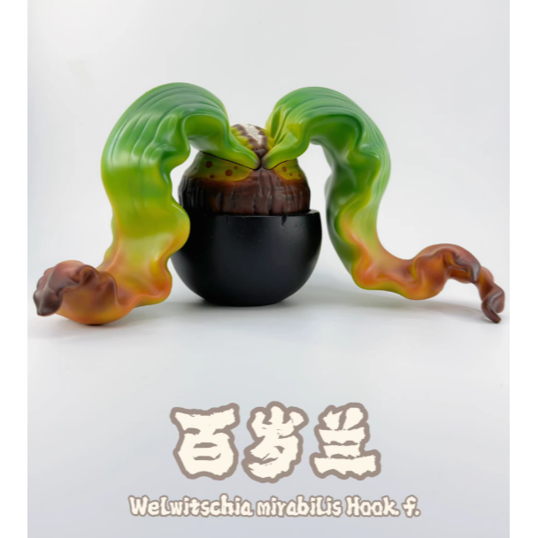 《4AM寅選》博物志 龍舌蘭手辦 潮流 擺件 潮玩 擺飾 藝術品 手工 裝飾品 塊根植物 潮流植物 agave-細節圖8