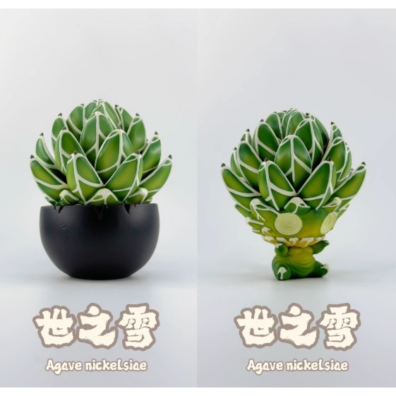 《4AM寅選》博物志 龍舌蘭手辦 潮流 擺件 潮玩 擺飾 藝術品 手工 裝飾品 塊根植物 潮流植物 agave-規格圖8