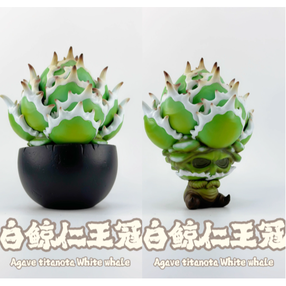 《4AM寅選》博物志 龍舌蘭手辦 潮流 擺件 潮玩 擺飾 藝術品 手工 裝飾品 塊根植物 潮流植物 agave-規格圖8