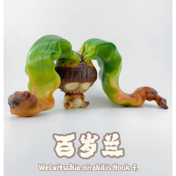 《4AM寅選》博物志 龍舌蘭手辦 潮流 擺件 潮玩 擺飾 藝術品 手工 裝飾品 塊根植物 潮流植物 agave-規格圖8