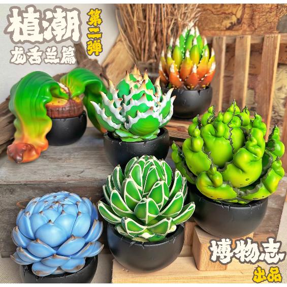 《4AM寅選》博物志 龍舌蘭手辦 潮流 擺件 潮玩 擺飾 藝術品 手工 裝飾品 塊根植物 潮流植物 agave-規格圖8