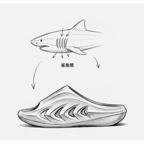 《4AM寅選》Rigorer準者 小鯊魚2.0拖鞋 官方正品 運動 籃球 恢復拖鞋 防滑 戶外 透氣 踩屎感 運動拖鞋-細節圖8