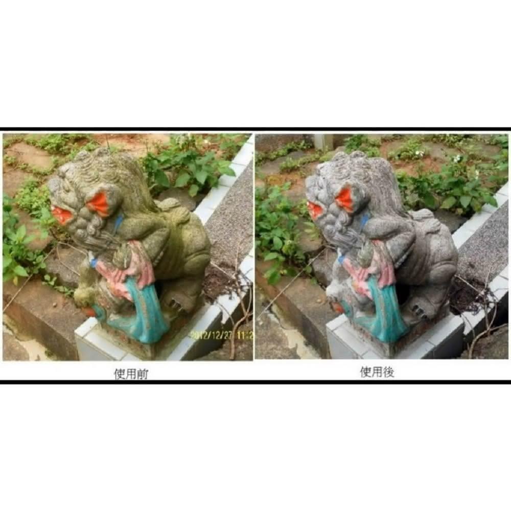 吹苔清2L 除青苔 綠色OUT 地面回歸正常色 滑倒剋星 青苔直接蒸發-細節圖3