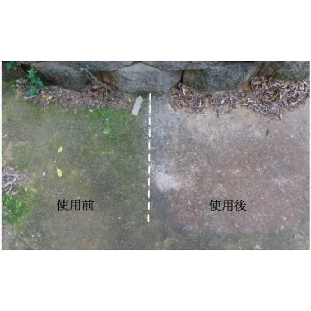 吹苔清2L 除青苔 綠色OUT 地面回歸正常色 滑倒剋星 青苔直接蒸發-細節圖4