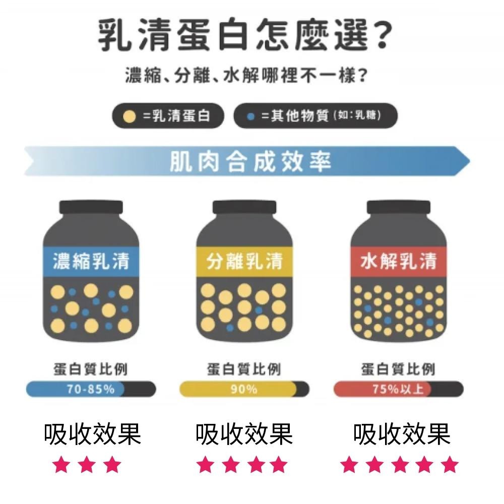 TRYALL  分離乳清蛋白高白 500克 MSG 原味無添加-細節圖3