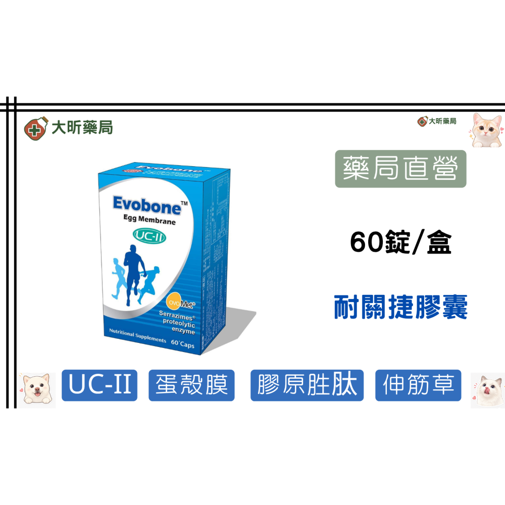 【藥局直營】耐關捷蛋殼膜強化膠囊 | UC2+專利蛋殼膜+德國膠原胜肽 |UC-II非變性二型膠原蛋白 大昕藥局-細節圖2