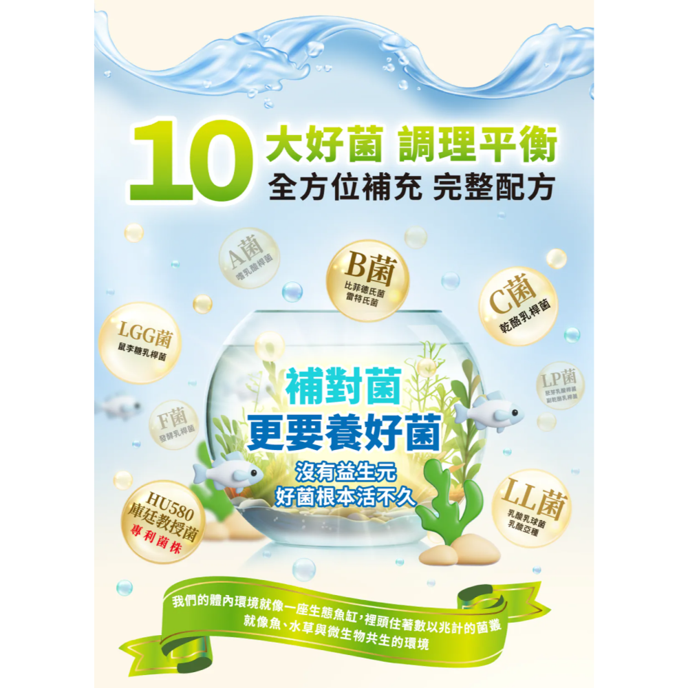 【藥局直營】普百歐益生菌 50顆 專利HU58® 庫廷教授菌 10種益生菌+4種益生源+鳳梨酵素 大昕藥局-細節圖9