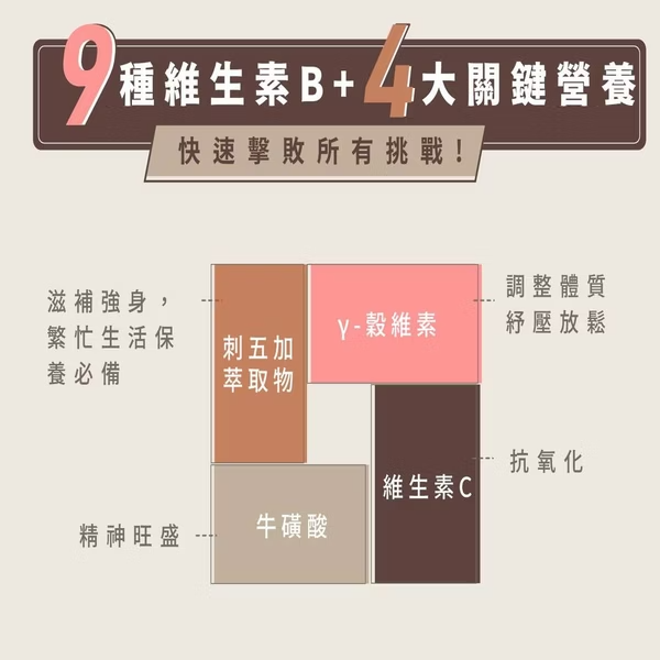 【藥局直營】Dr.Nutri芯漾生醫 高效元氣B群 9+4關鍵營養（120粒｜玻璃罐）（30粒｜鋁袋）大昕藥局-細節圖2