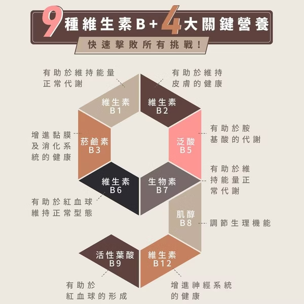 【藥局直營】Dr.Nutri芯漾生醫 高效元氣B群 9+4關鍵營養（120粒｜玻璃罐）（30粒｜鋁袋）大昕藥局-細節圖3