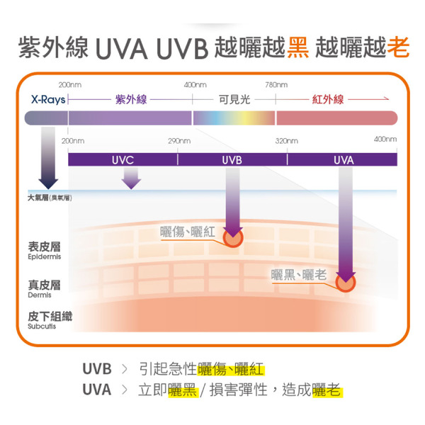 【藥局直營】舒特膚 Cetaphil 高效防曬凝露SPF50+‧UVA/UVB 50ml 大昕藥局-細節圖4