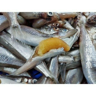 【張家海陸網】爆卵柳葉魚 300g-細節圖3