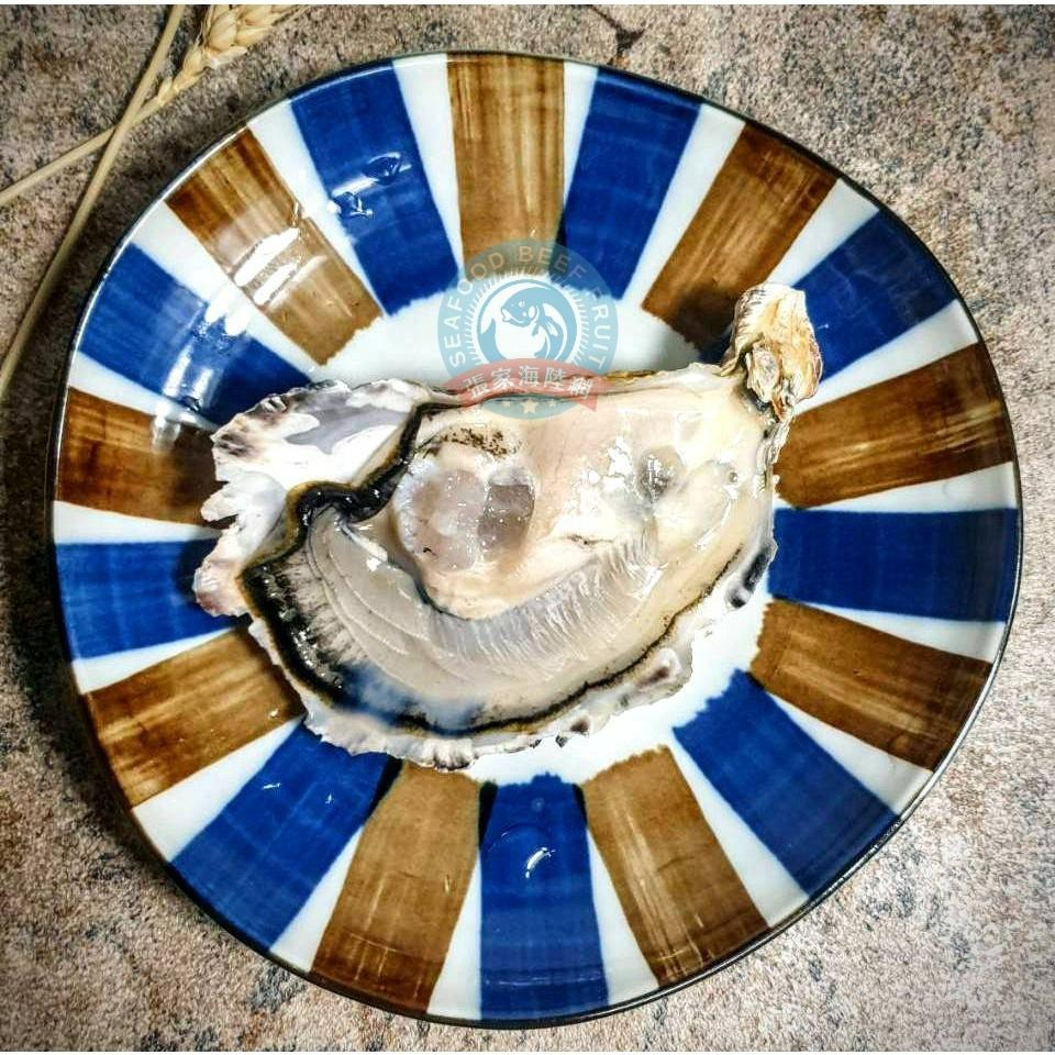 【張家海陸網】日本生食級生蠔 - 100g*3顆裝-細節圖2
