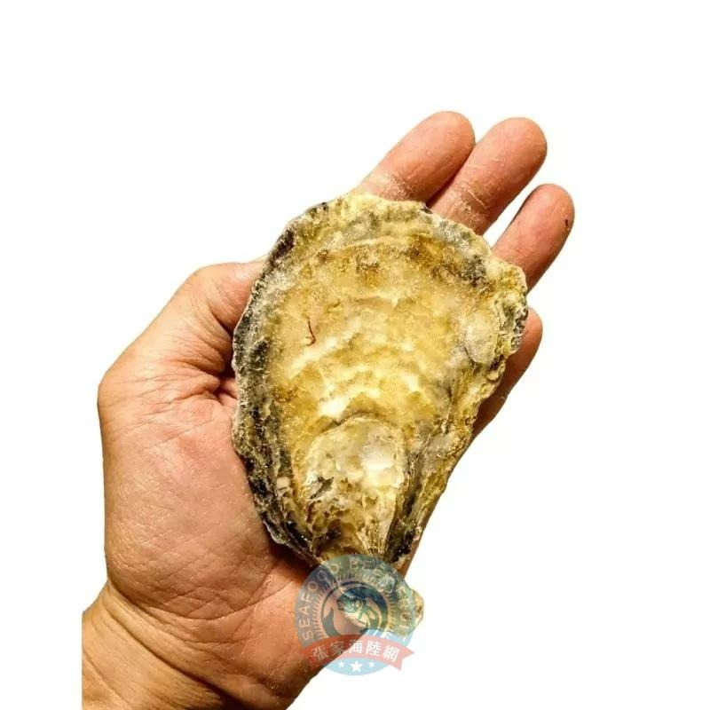 【張家海陸網】日本生食級生蠔 - 100g*3顆裝-細節圖4