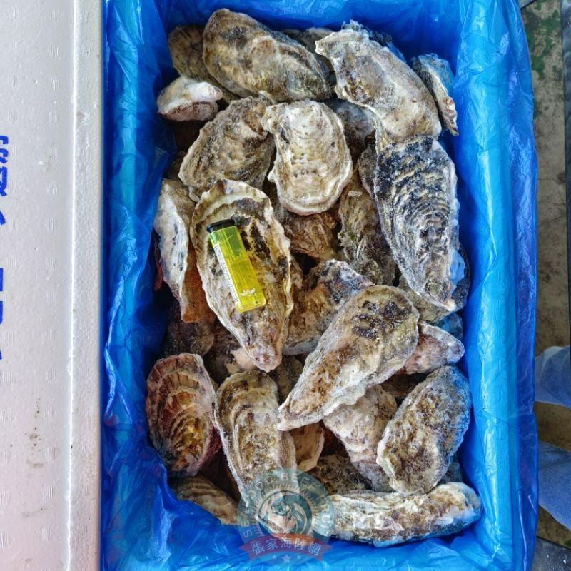 【張家海陸網】日本生食級生蠔 - 100g*3顆裝-細節圖6