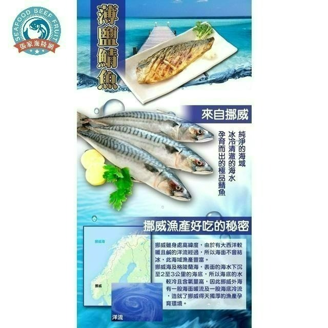 【張家海陸網】頂級挪威鯖魚 10入/組 鯖魚 烤肉食材-細節圖2