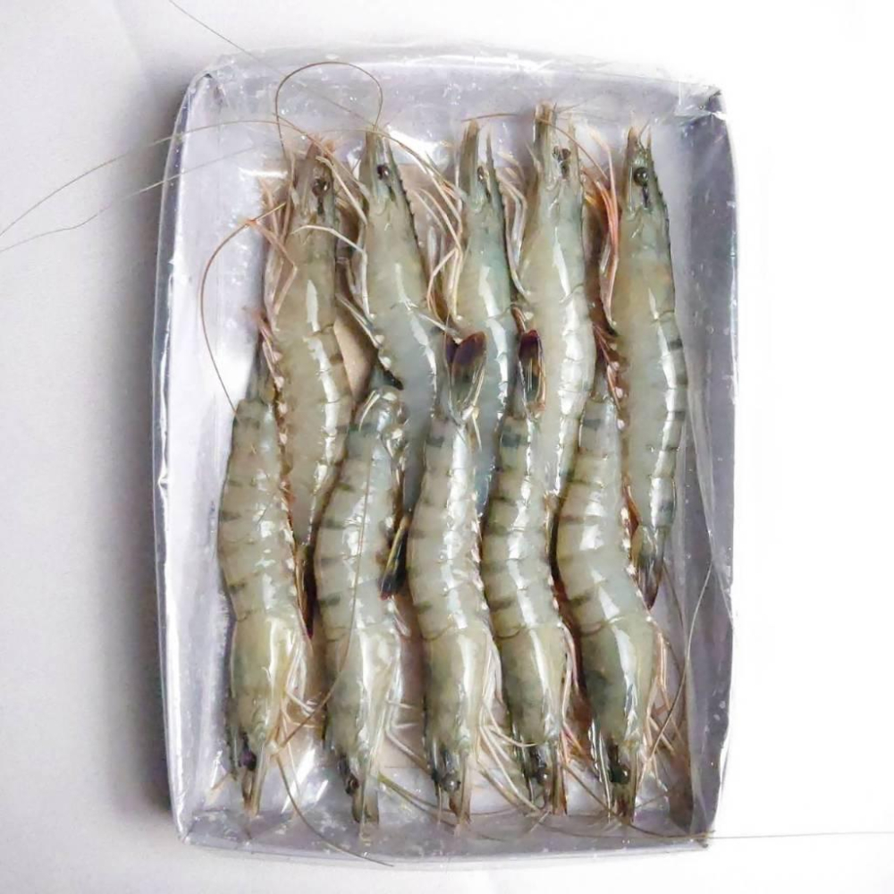 馬來西亞活凍草蝦 270g 10P 799免運【張家海陸網】烤肉食材-細節圖2