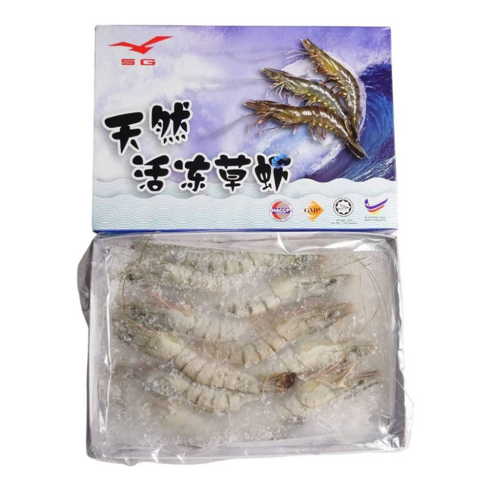 馬來西亞活凍草蝦 270g 10P 799免運【張家海陸網】烤肉食材-細節圖3