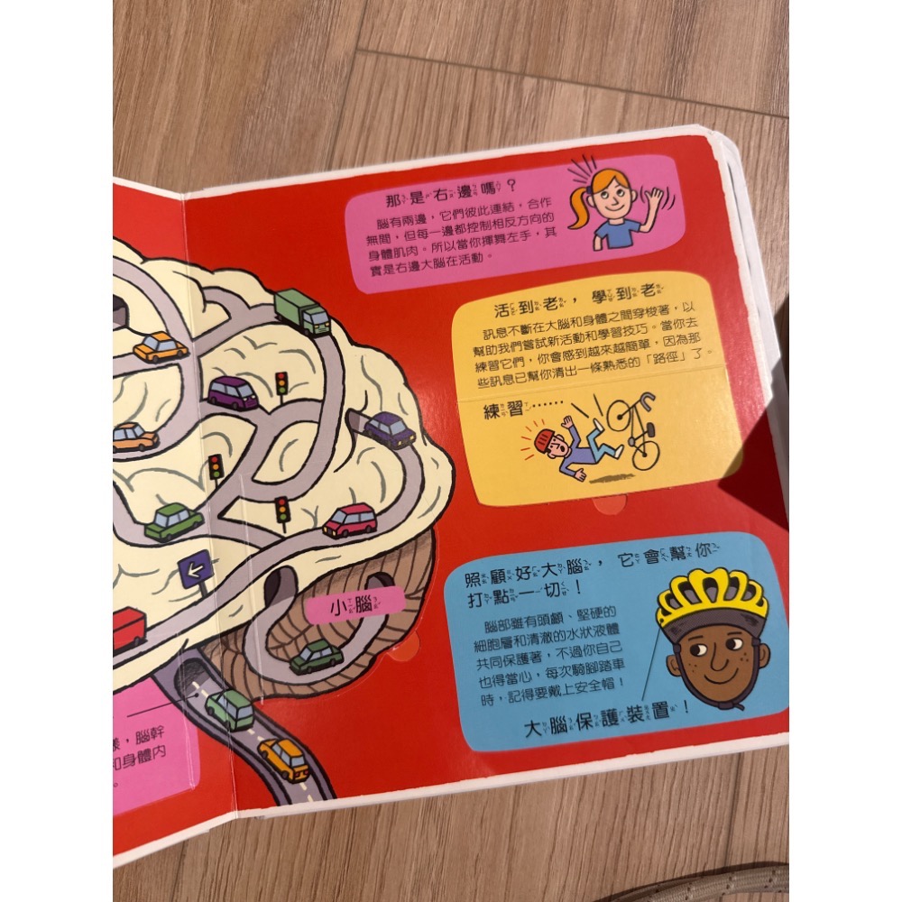 大甲魚丸-細節圖3