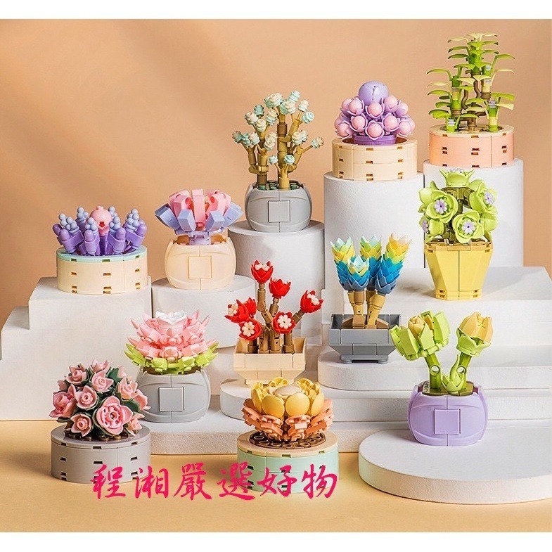 《台灣現貨附發票》積木花 多肉植物 盆栽 積木 積木花卉 植物積木 積木盒組 植物系列 積木玩具-細節圖2