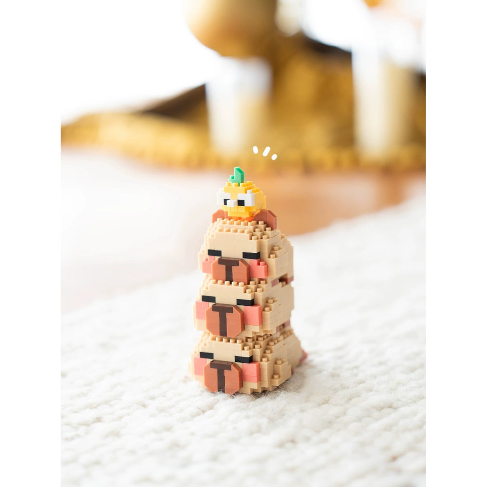 程湘嚴選 水豚君 卡皮巴拉 動物積木 財神造型 鑽石積木 微型積木 益智拼裝 收藏擺飾 療癒小物 生日禮物 台灣現貨-細節圖6