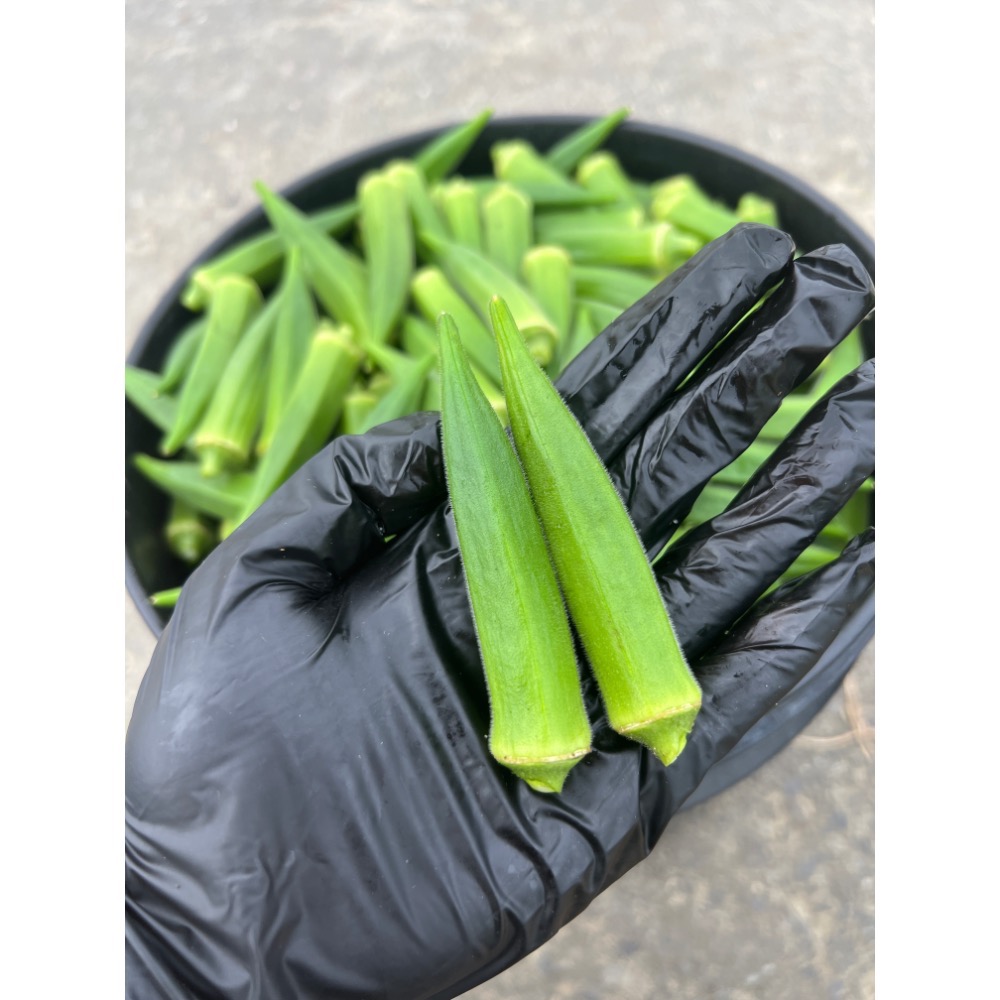 1500g