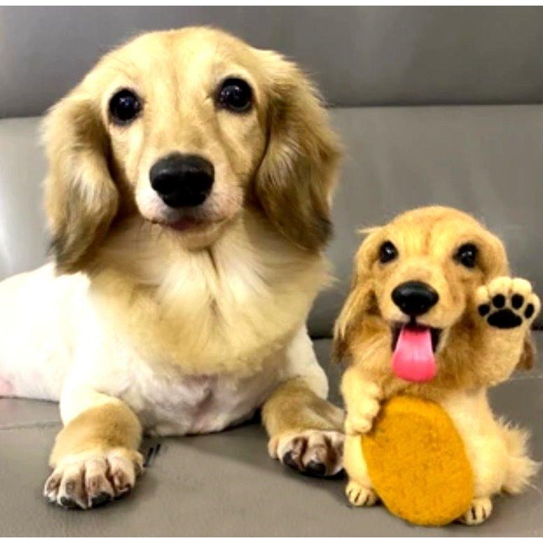 【布的魔法屋】d312-台灣製造黑色5入組填充玩具動物仿真鼻子 符合國際安全標準螺栓式附墊片狗鼻子小熊眼睛鼻子黑狗鼻貓鼻-細節圖6