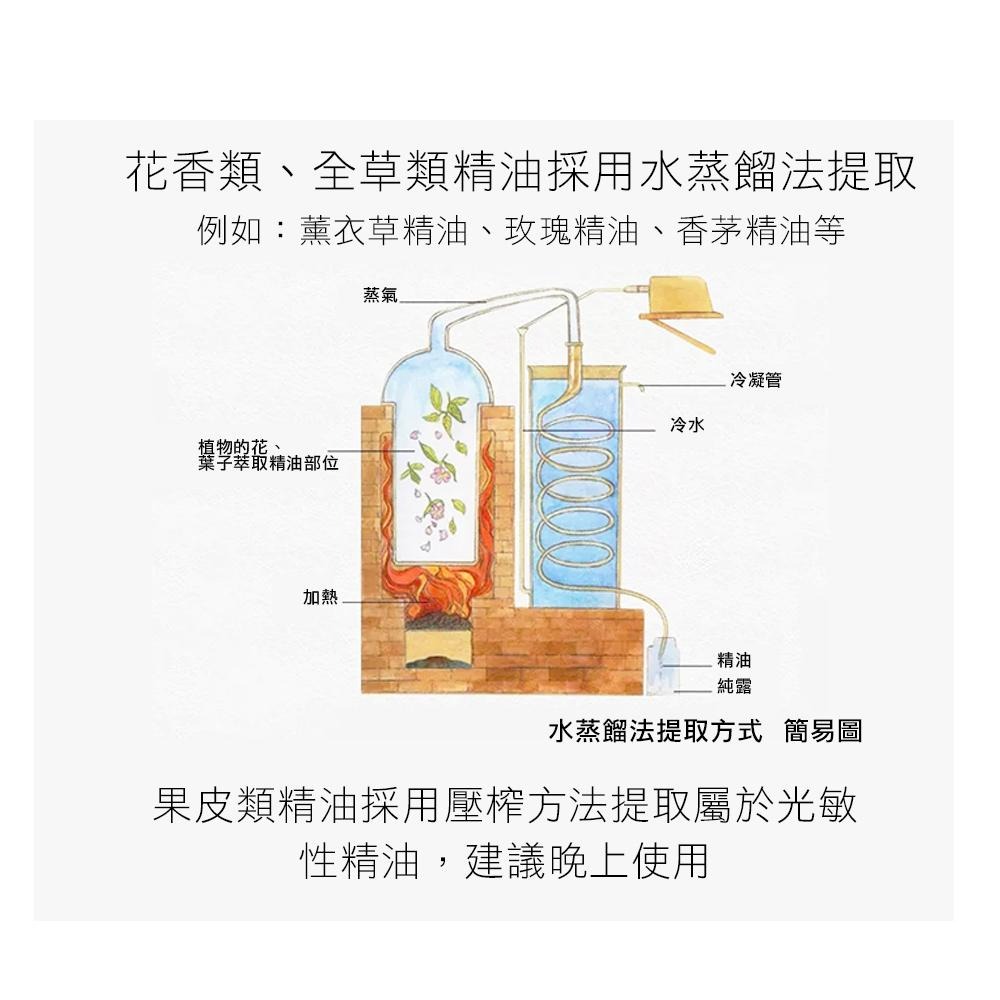 【Biomagic】澳洲星期四農莊 丁香精油 13 ml-細節圖3