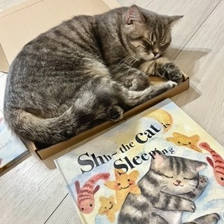 【現貨/親子共讀】兒童英文繪本 Shh~the cat is sleeping 幼兒英文啟蒙 睡前故事書 貓咪療癒繪本-細節圖2