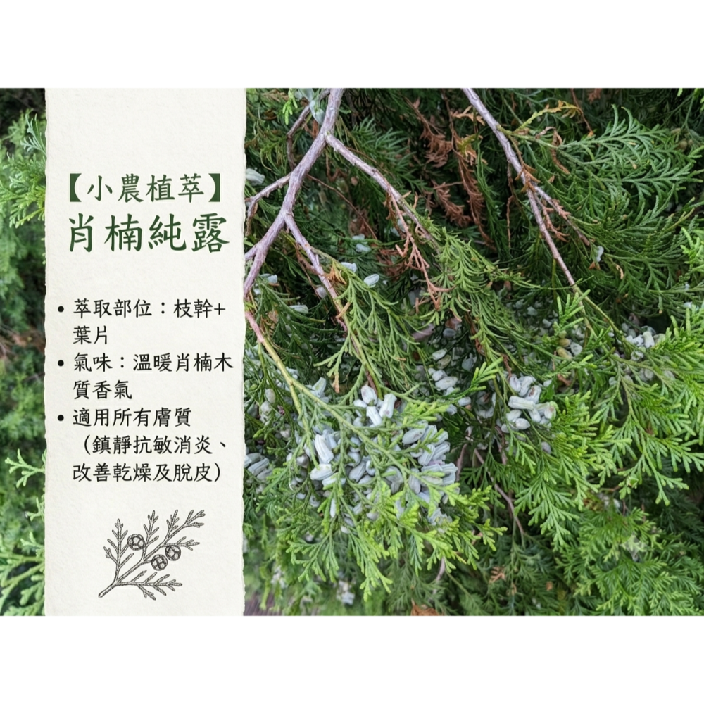 肖楠純露✨銅鍋蒸餾✨