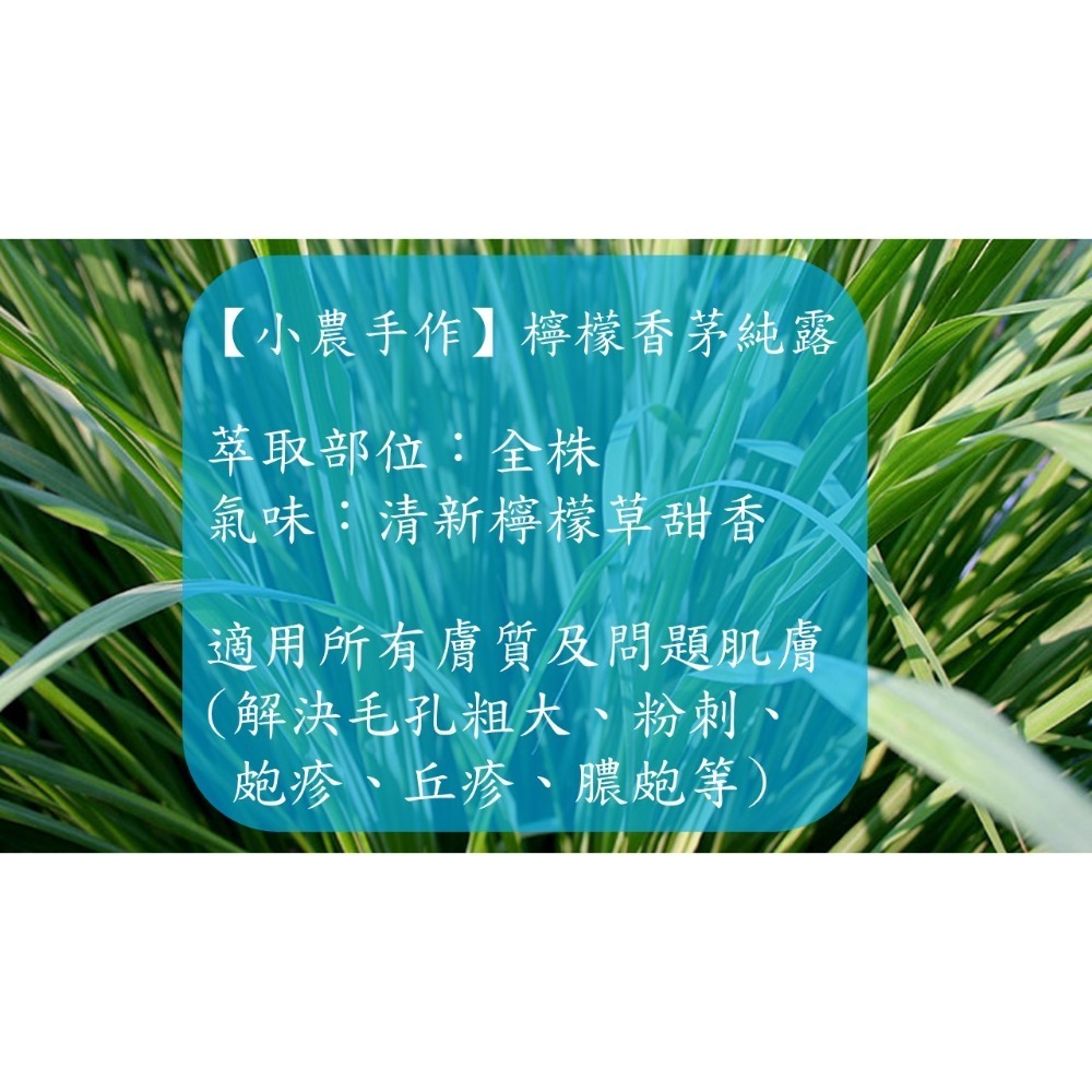 【小農植萃】100%新鮮植物蒸餾 魚腥草純露/左手香純露/迷迭香純露/積雪草純露/香蘭葉純露/樹葡萄純露/巧克力薄荷純-細節圖10