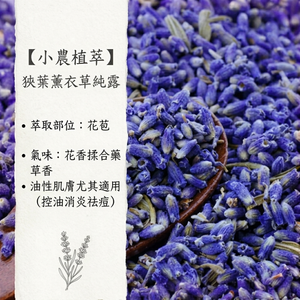 【小農植萃】100%天然植物蒸餾✨銅鍋蒸餾✨魚腥草純露/左手香純露/積雪草純露/狹葉薰衣草純露/香蘭葉純露/檸檬香茅純-細節圖5