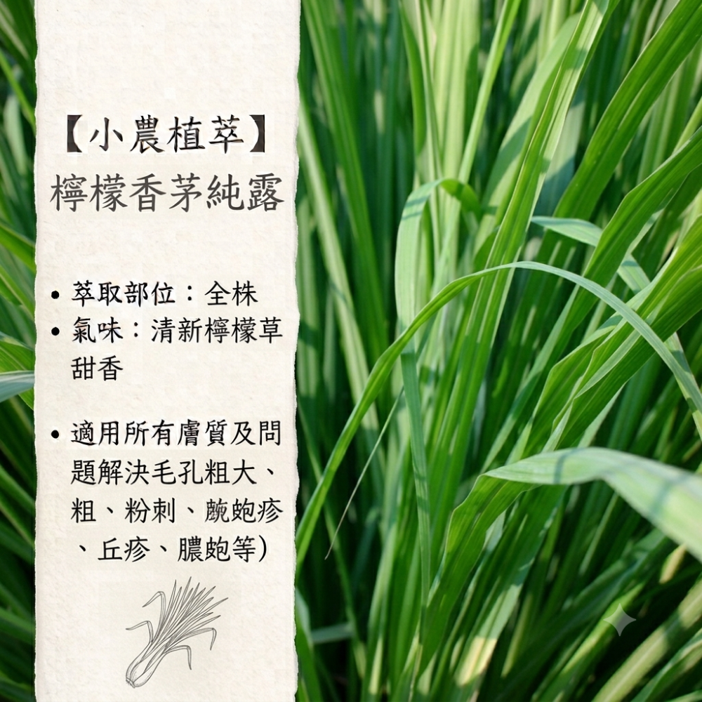 【小農植萃】100%天然植物蒸餾✨銅鍋蒸餾✨魚腥草純露/左手香純露/積雪草純露/狹葉薰衣草純露/香蘭葉純露/檸檬香茅純-細節圖7
