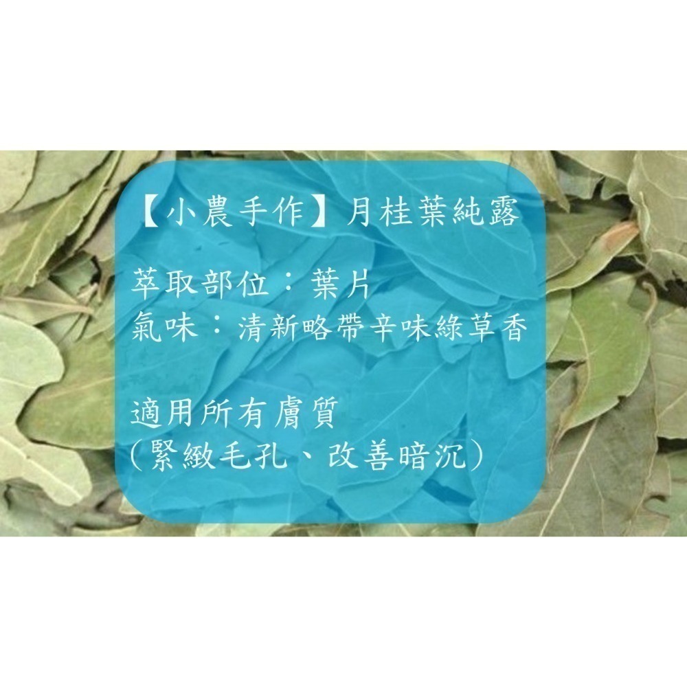 【小農植萃】刺花椒純露/沒藥純露/西洋蓍草純露/狹葉薰衣草純露/乳香純露/月桂葉純露 ✨銅鍋蒸餾✨-細節圖6