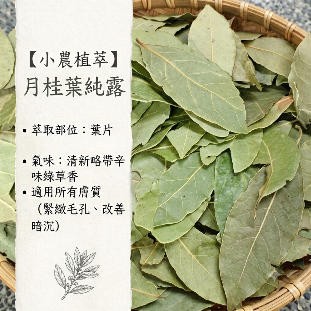 【小農植萃】100%天然植物蒸餾  ✨銅鍋蒸餾✨月桂葉純露/索馬里乳香純露/沒藥純露/西洋蓍草純露/樹葡萄純露/迷迭香-細節圖2
