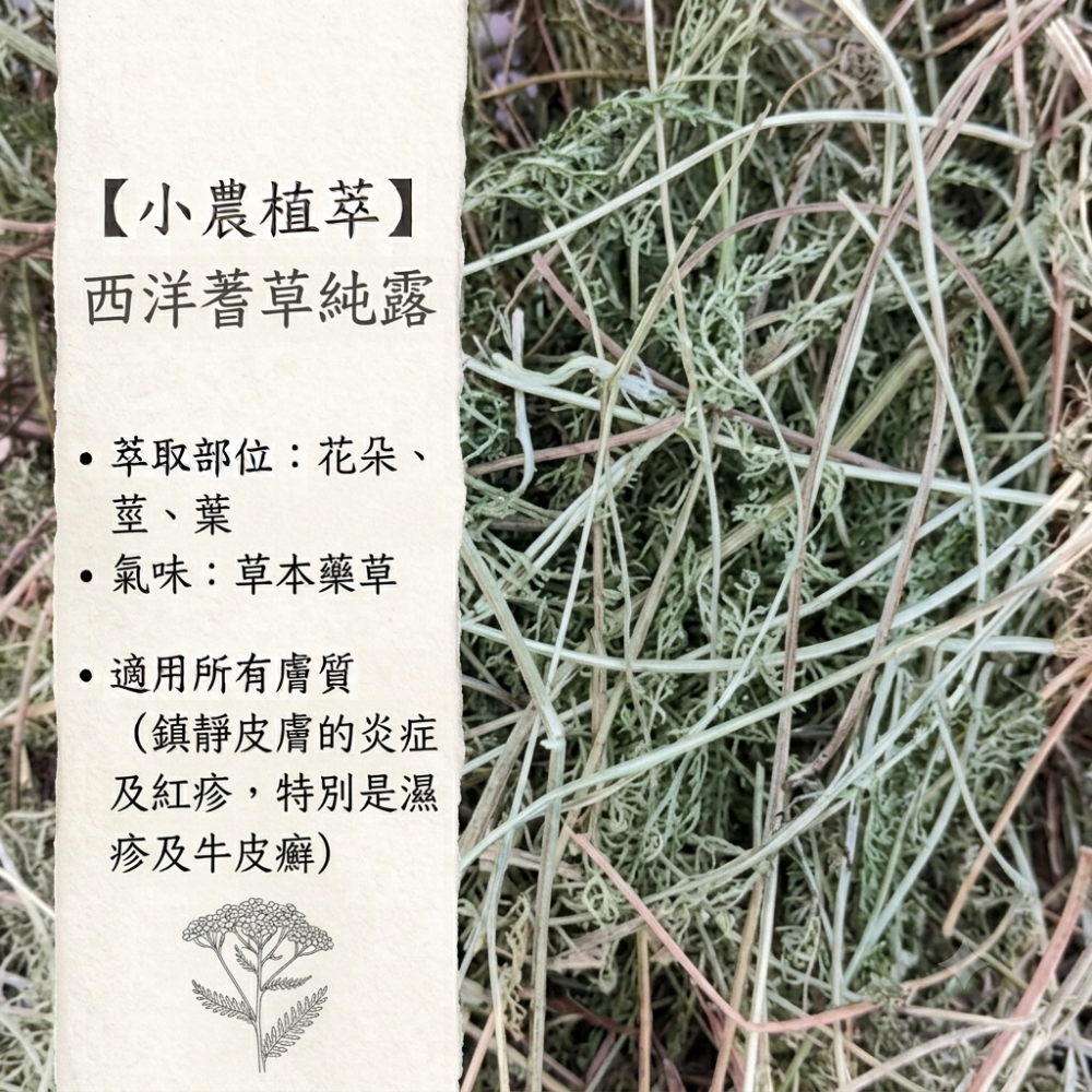 【小農植萃】100%天然植物蒸餾  ✨銅鍋蒸餾✨月桂葉純露/索馬里乳香純露/沒藥純露/西洋蓍草純露/樹葡萄純露/迷迭香-細節圖5