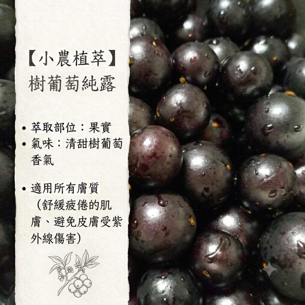 【小農植萃】100%天然植物蒸餾  ✨銅鍋蒸餾✨月桂葉純露/索馬里乳香純露/沒藥純露/西洋蓍草純露/樹葡萄純露/迷迭香-細節圖6