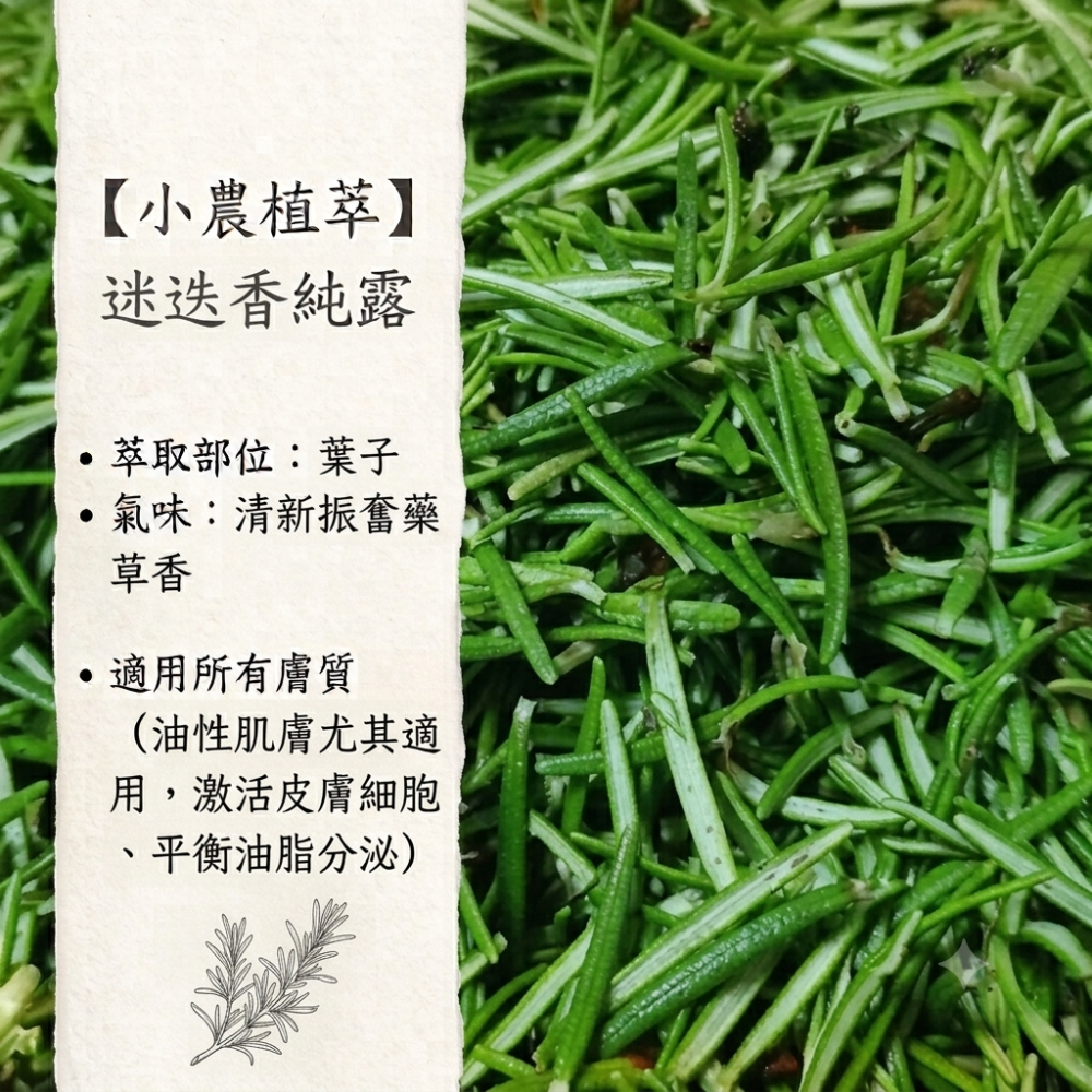 【小農植萃】100%天然植物蒸餾  ✨銅鍋蒸餾✨月桂葉純露/索馬里乳香純露/沒藥純露/西洋蓍草純露/樹葡萄純露/迷迭香-細節圖7