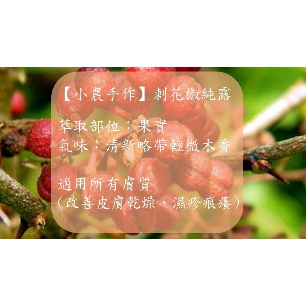 【小農系列】刺花椒純露/沒藥純露/西洋蓍草純露/狹葉薰衣草純露/乳香純露/月桂葉純露 ✨銅鍋蒸餾✨-細節圖5