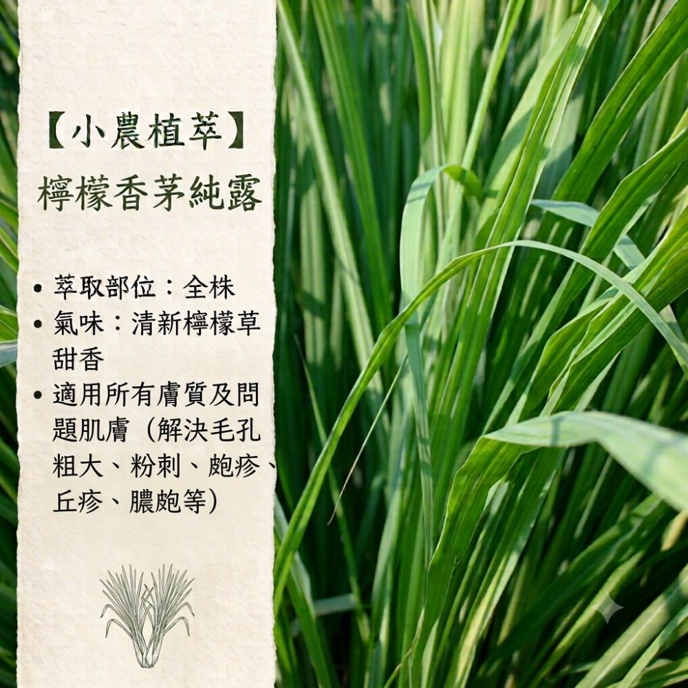 【小農植萃】體驗純露15m/50ml-左手香/檸檬香茅/香蘭葉/魚腥草/積雪草/樹葡萄/西洋蓍草/土肉桂/薰衣草/迷迭-細節圖3