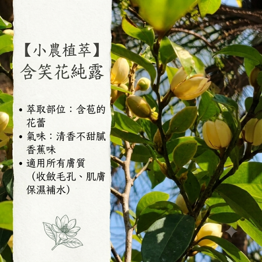 【小農植萃】100%天然植物蒸餾✨銅鍋蒸餾✨ 含笑花純露/夜合花純露/花椒純露/大馬士革玫瑰純露-細節圖2