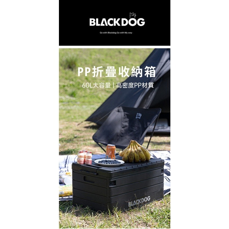 【附發票】BLACKDOG 60L 摺疊收納箱 登山露營-細節圖2