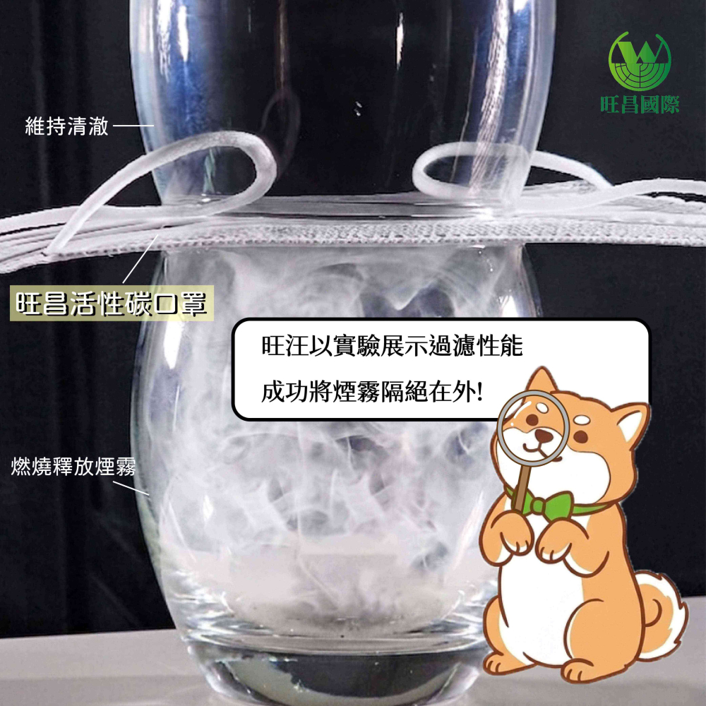 【旺昌國際】官方直營 醫療防護口罩 活性碳口罩 防霾 除臭 成人平面 滿版 三層不織布 拋棄式  MIT台灣製-細節圖3