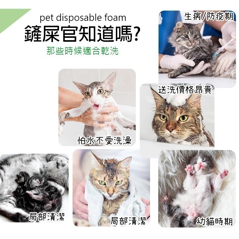 【綿密泡沫 溫和免洗澡】🐈寵物乾洗泡沫 寵物免洗泡沫 寵物沐浴乳 寵物洗毛精 狗狗沐浴乳 貓咪沐浴乳 寵物洗澡-細節圖2