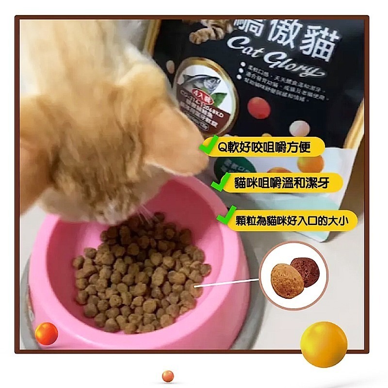 【海鮮配方 軟Q口感】🐶驕傲貓-貓薄荷潔牙軟錠🐱軟餅乾 貓草餅乾 營養餅乾 貓零食 貓咪點心 寵物潔牙 貓薄荷餅-細節圖8